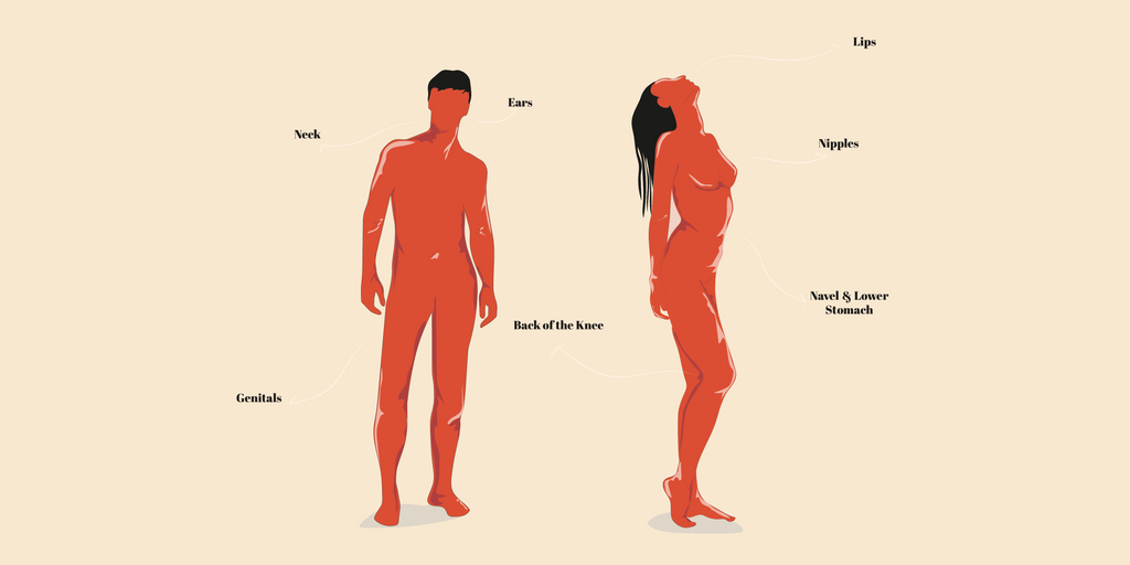 An illustration of an (orange coloured) naked man and woman standing with the erogenous zones on their body labelled. 