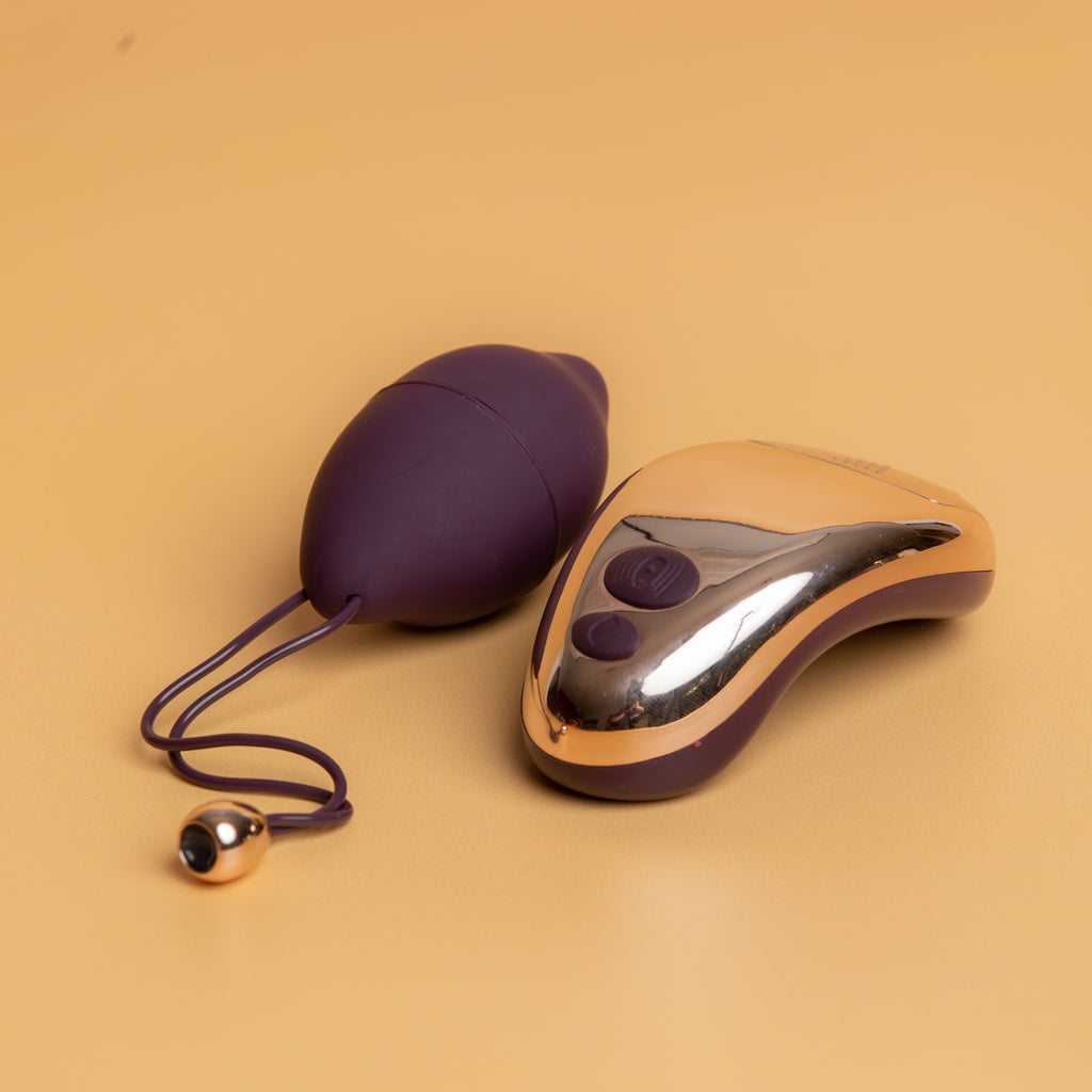 Ro Duet Egg and Remote sitting next to each other. The remote has two buttons on the top in purple. 