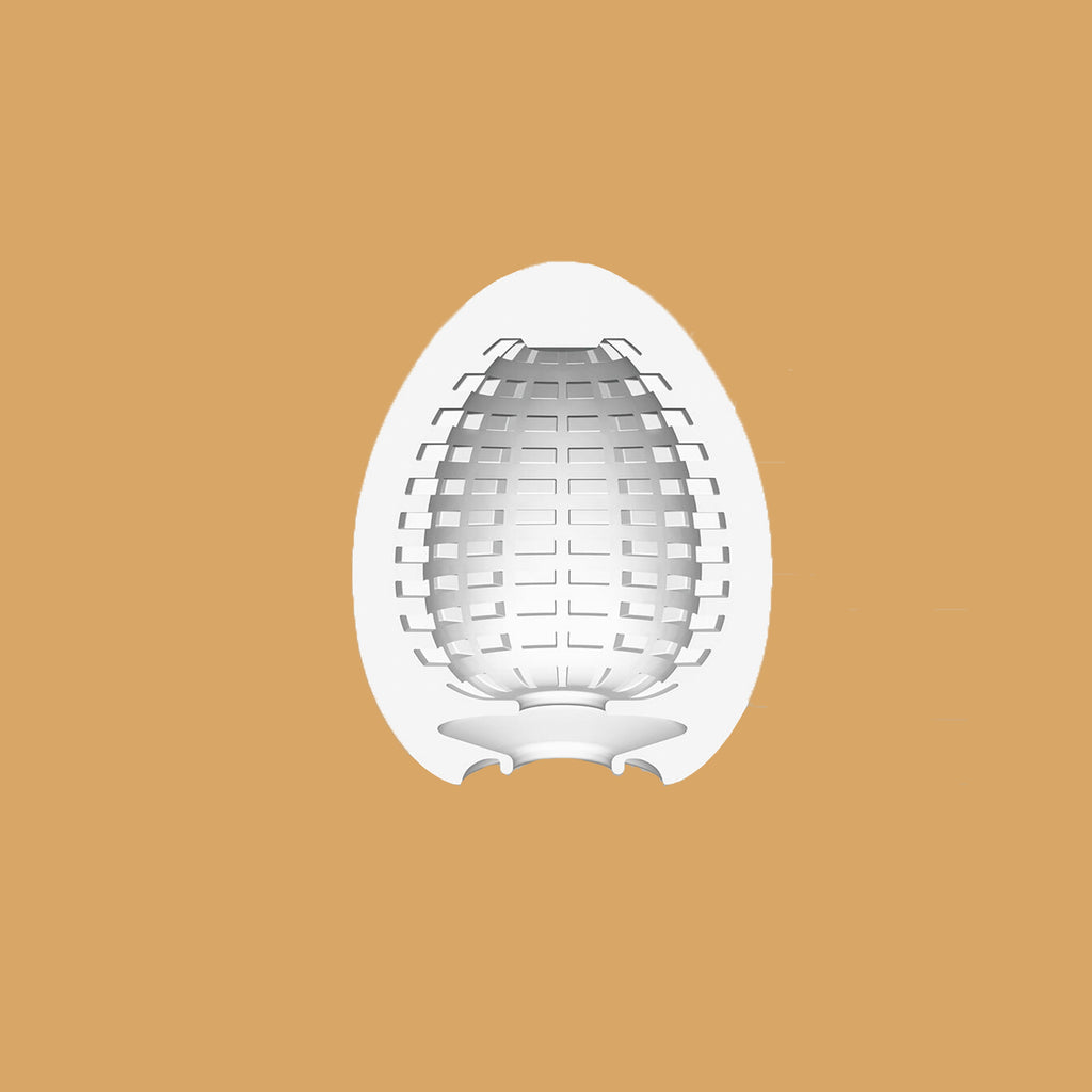 The Tenga Egg Spider inside pattern. Looks like many little squares, otherwise described as "webbed spider web pattern"
